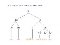 aniti.JPG