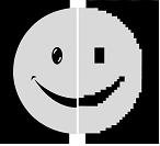 digitized face.jpg