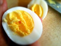 hard-boiled-egg.jpg hard-boiled-egg.jpg