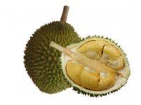 durian-fruit-opened-300.jpg durian-fruit-opened-300.jpg