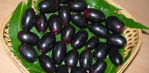 Jaman.jpg