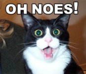 oh_noes_cat_plz_by_ohnoescatplz-d5crycw.jpg