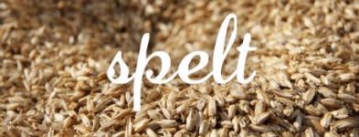 spelt-waar-te-koop.jpg
