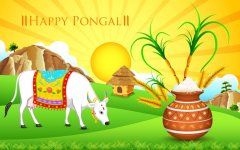 Pongal.jpg