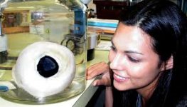 giant squid eye.jpeg