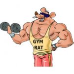Gym Rat.jpg