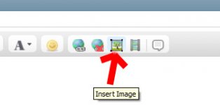insert.jpg