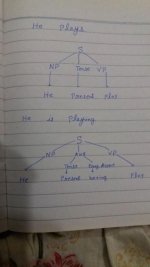 Tree Diagram.jpg