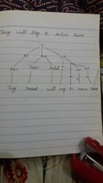 tree diagram.jpg