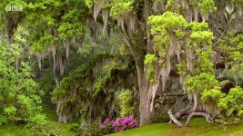 Monty Don's American Gardens 2020 E02[(056683)18-13-06].jpg