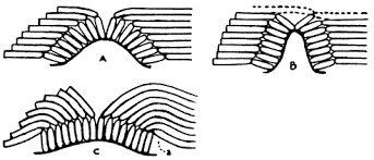book-spine2.jpg