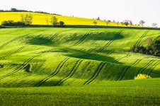 green-fields-2210x1473.jpg
