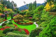 BUTCHART-GARDENS-1.jpg BUTCHART-GARDENS-1.jpg