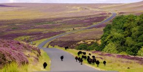 hutton-le-hole.jpg hutton-le-hole.jpg