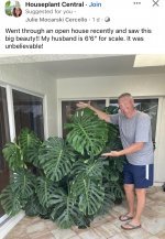 IMG_7586.jpeg
