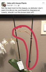 IMG_7651.jpeg