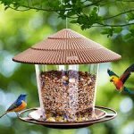 bird feeder.jpg