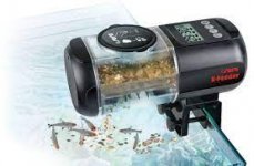 fish feeder.jpg