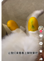 微信图片_20240405135222.png