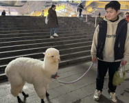微信图片_20241212140957.png