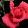 Rakkhi.sharma