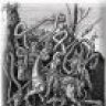 Conatus