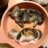 cereal_chick