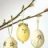 eggcracker
