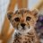 Tony_M